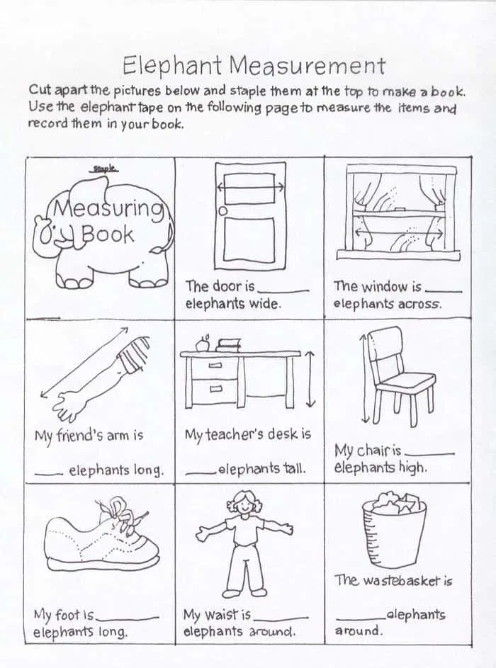 elephant measurements