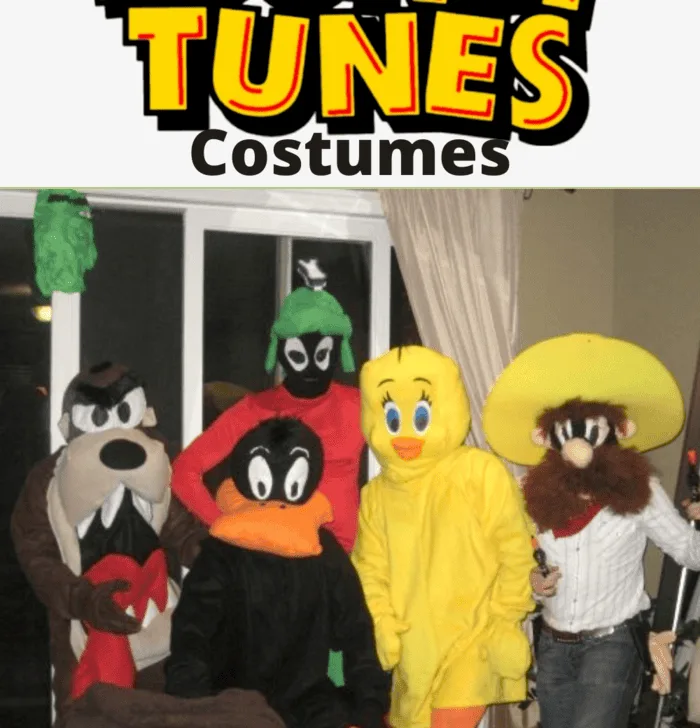 Looney Tunes Costumes