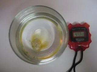 vitamin science project-vitamin in glass of water for one minute