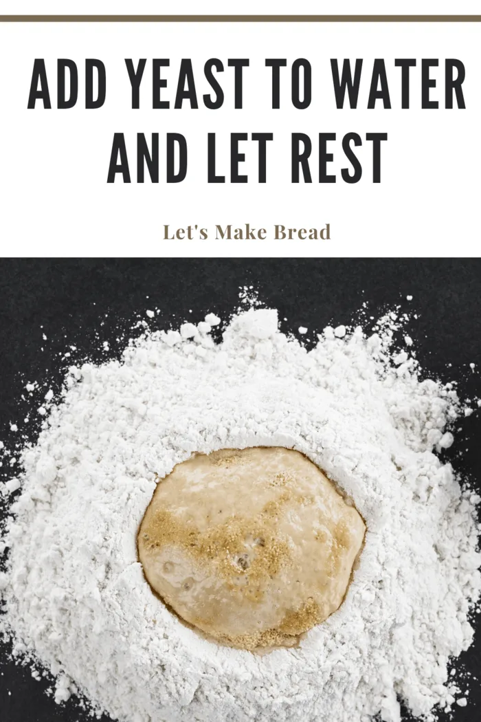 add the yeast and water to the flour