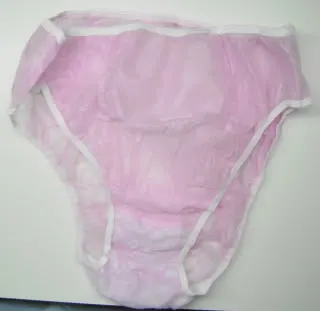 Pandeez Disposable Underwear Review