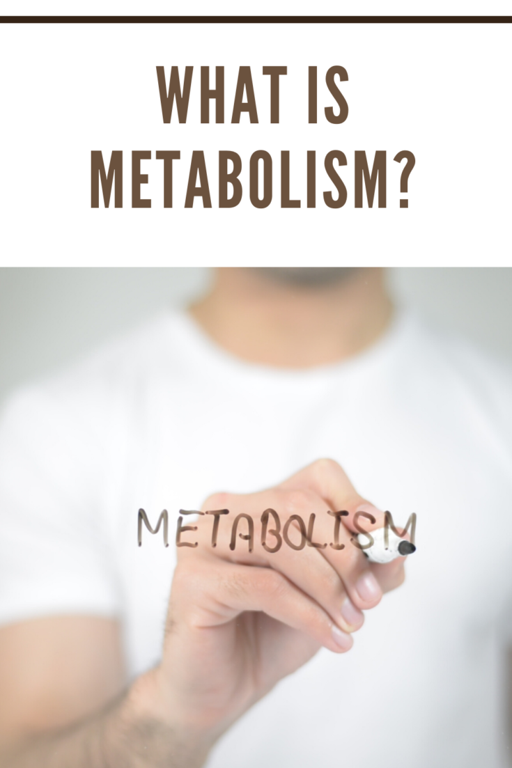 Metabolism, man writing on transparent screen