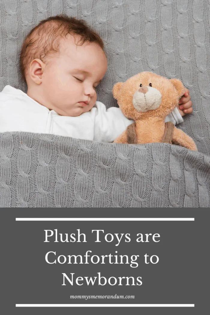 newborn sleeping in gray blanket next to stuffed teddy bear