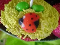close up of ladybug sugar mold