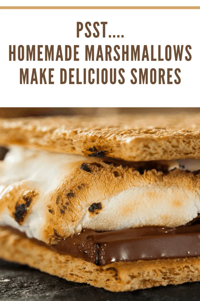 Soft, fluffy marshmallows perfect for s'mores, dusted with powdered sugar and ready to enjoy over a campfire