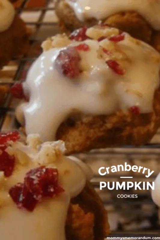 cranberry pumpkin cookies