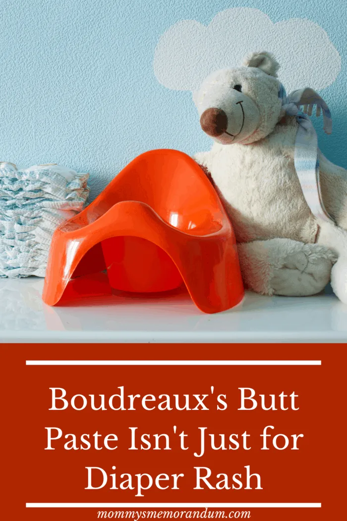 bourdreaux's butt paste nursery with bear and training potty