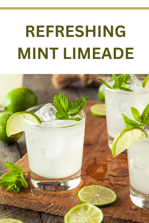 Refreshing Mint Limeade with Fresh Lime Slices and Mint Leaves - Perfect Summer Drink Recipe