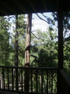 Looking out the sliding glass door from the first bedroom