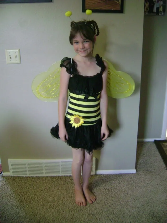 Party City Costumes bee costume