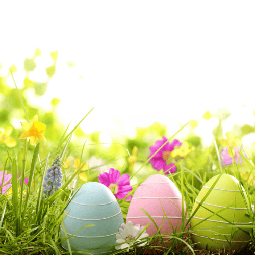 easter eggs and flowers in grass
