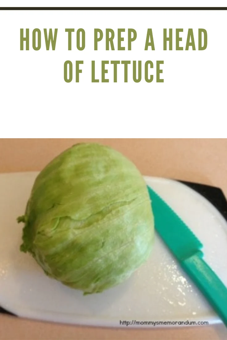 lettuce on cutting board with knife