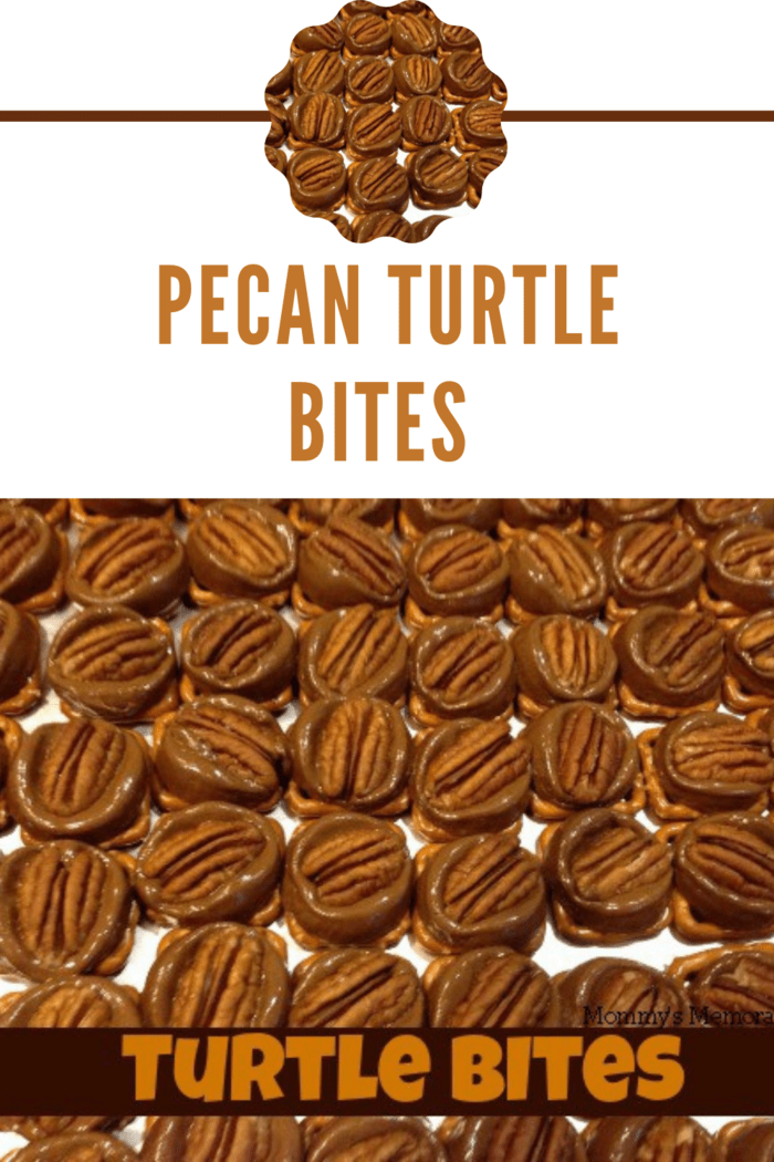 Turtle Bites made with pretzels, rolo candy and pecan halves