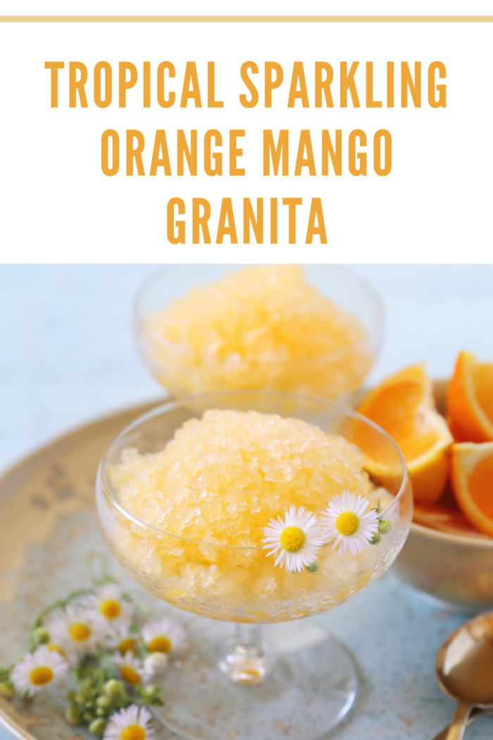mango orange granita dessert