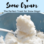 Don't let the snow get you down, turn it into an opportunity to make delicious snow cream!