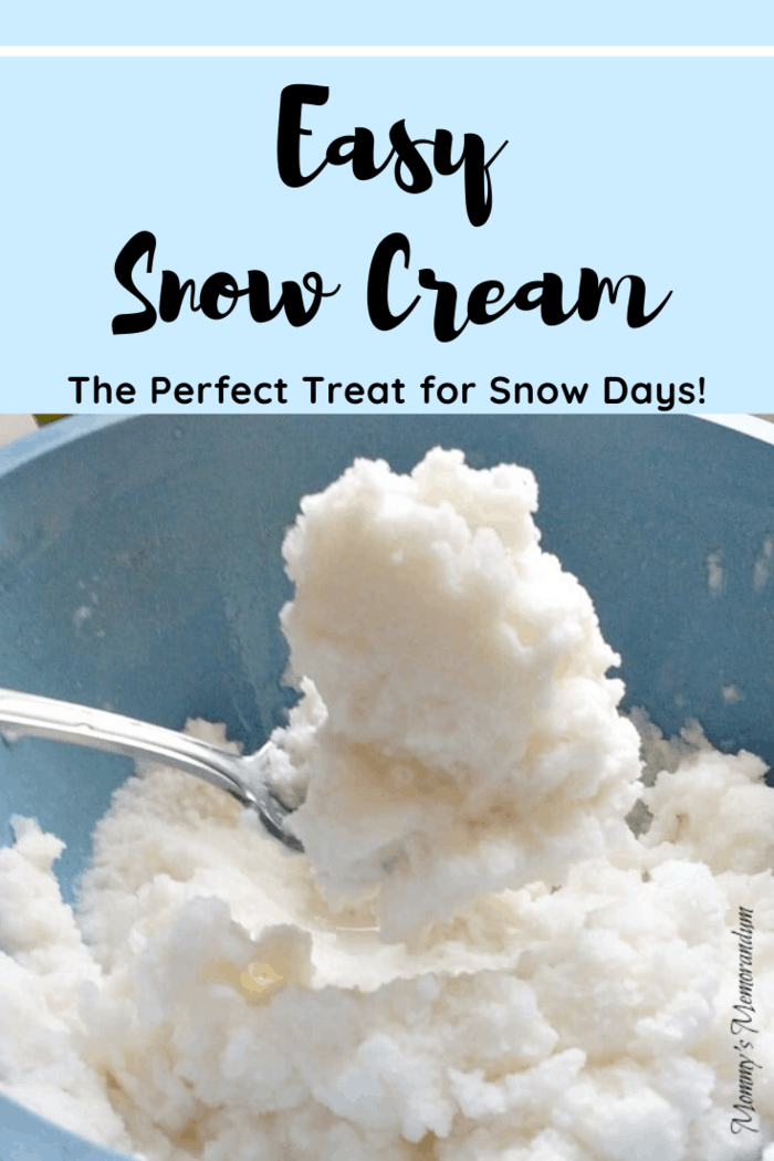 Don't let the snow get you down, turn it into an opportunity to make delicious snow cream!