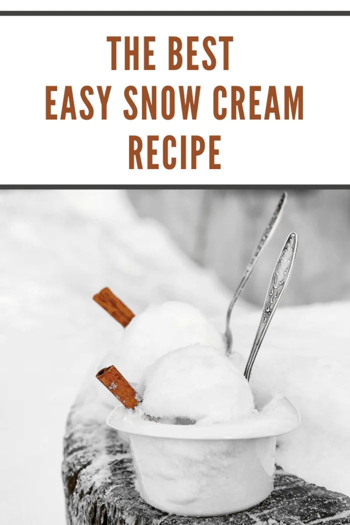 Snow cream in white bowls garnished with cinnamon on a snowy background