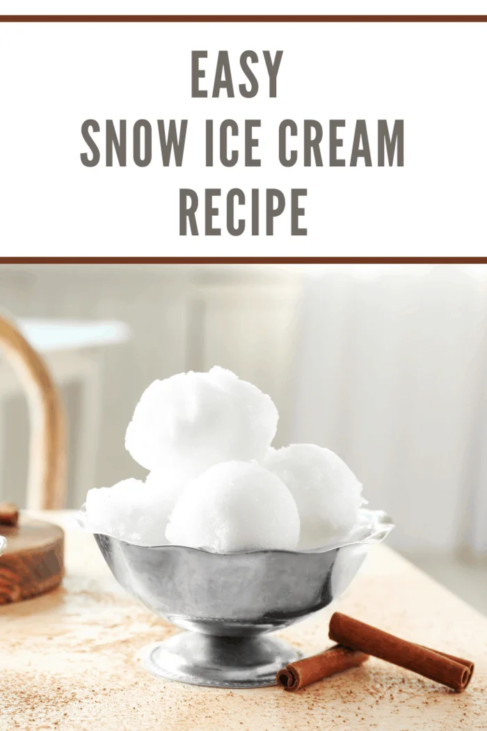 Vintage bowl with snow ice cream on table strewn with cinnamon powder