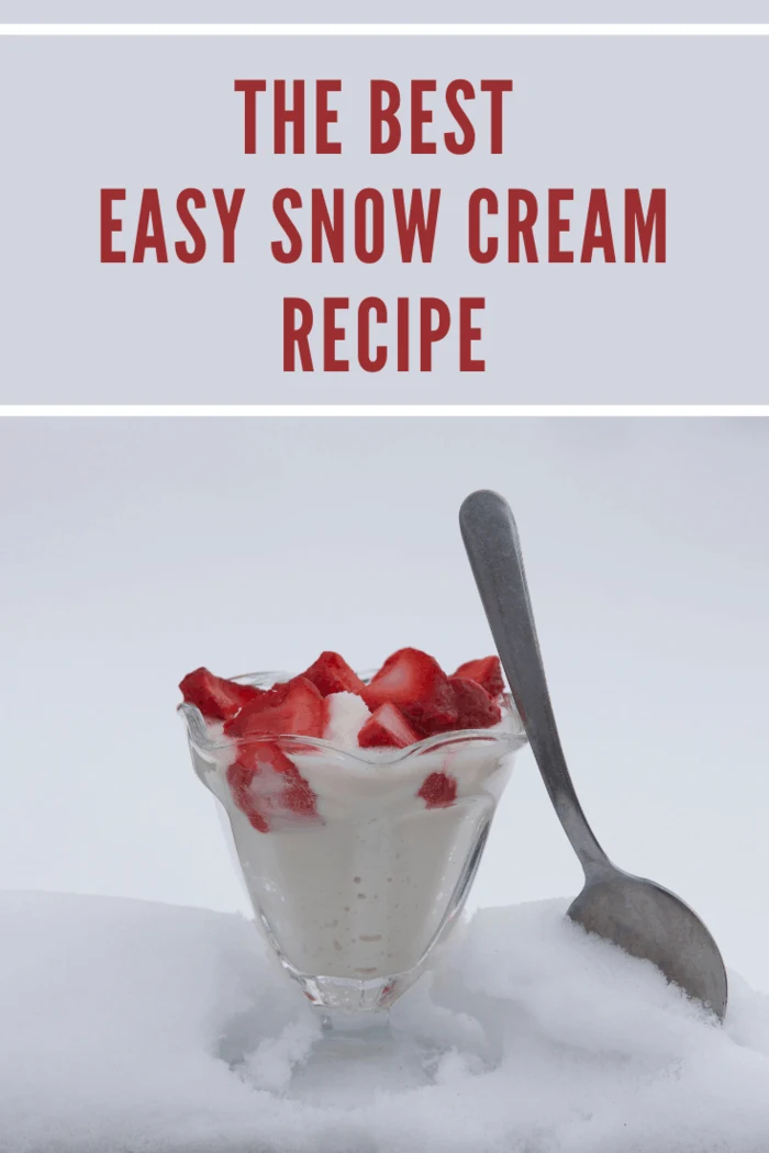 Snow, cream, sugar, and a few strawberries mixed together in a glass vase. A sliver spoon propped by the glass invites you to shake off the snow and taste this frozen treat. Glass and spoon nestled in the snow.