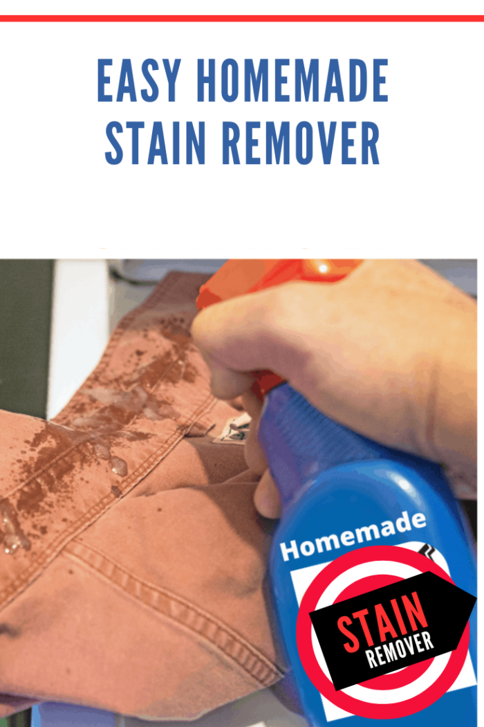 easy homemade stain remover