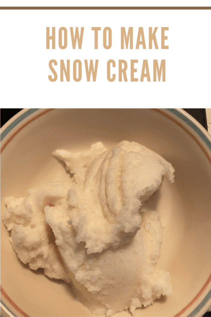 Bowl of snow ice cream, a fun and easy winter dessert made with freshly fallen snow