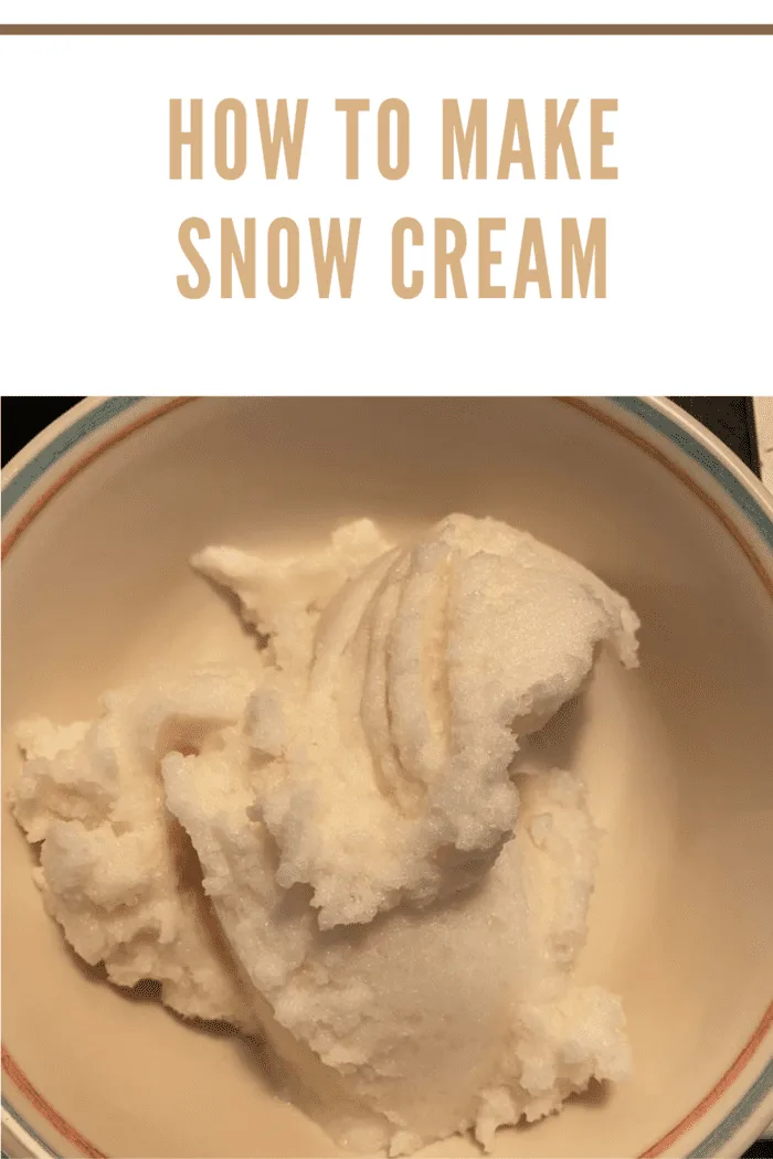 Bowl of snow ice cream, a fun and easy winter dessert made with freshly fallen snow