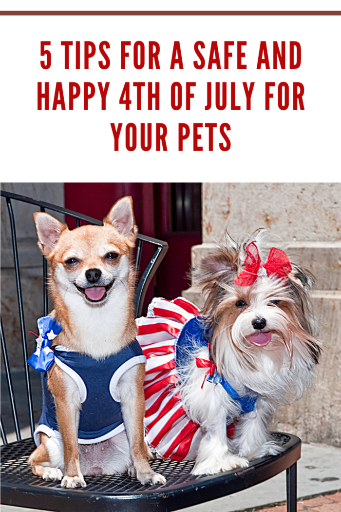 dogs on Fourth of July.