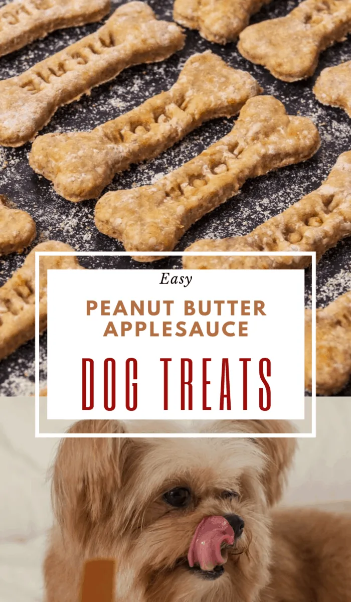 Make your own dog treats with this easy, 4-ingredient Peanut Butter Applesauce Dog Treats recipe. Fido will love the crunch and flavor! #homemadedogtreats #peanutbutterdogtreats #dogtreats #peanutbutterapplesaucedogtreats #diydogtreats #pbapplesaucedogtreats