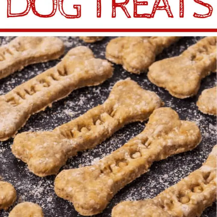 peanut butter applesauce dog treats cut into bone shapes with WOOF imprint resting on cookie sheet after baking.