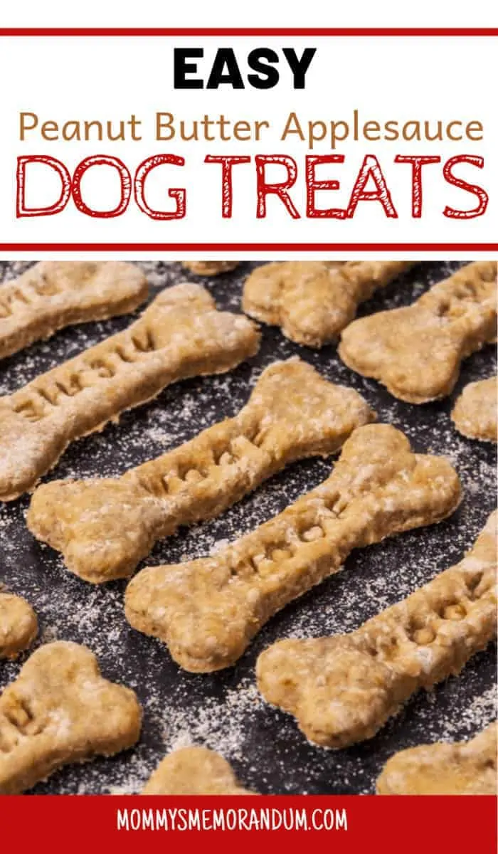peanut butter applesauce dog treats cut into bone shapes with WOOF imprint resting on cookie sheet after baking.