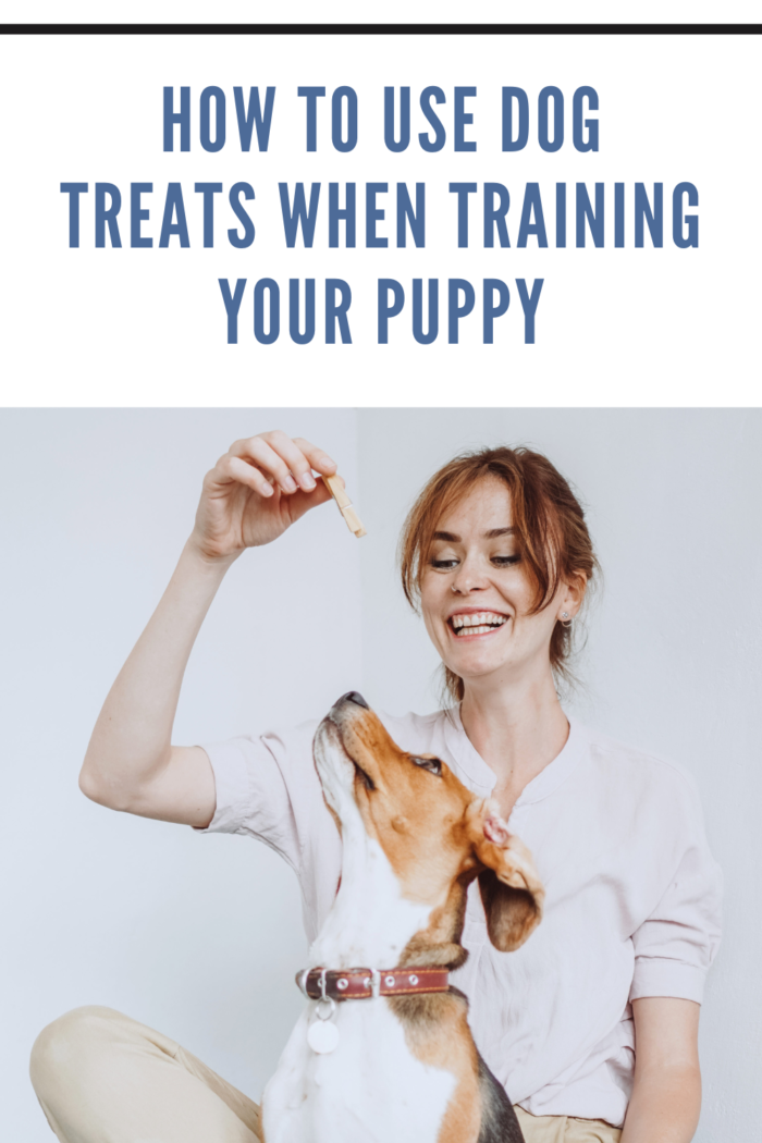 woman using peanut butter dog treat to train dog