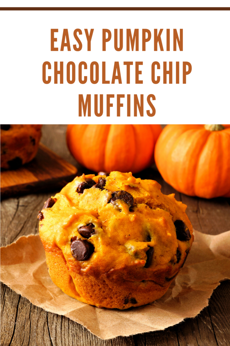 easy pumpkin chocolate chip muffins made with fresh pumpkin puree