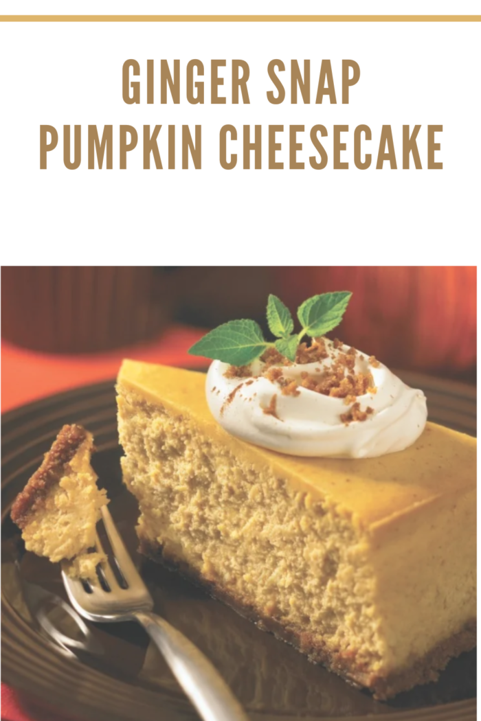 ginger-snap-pumpkin-cheesecake-mommy-s-memorandum