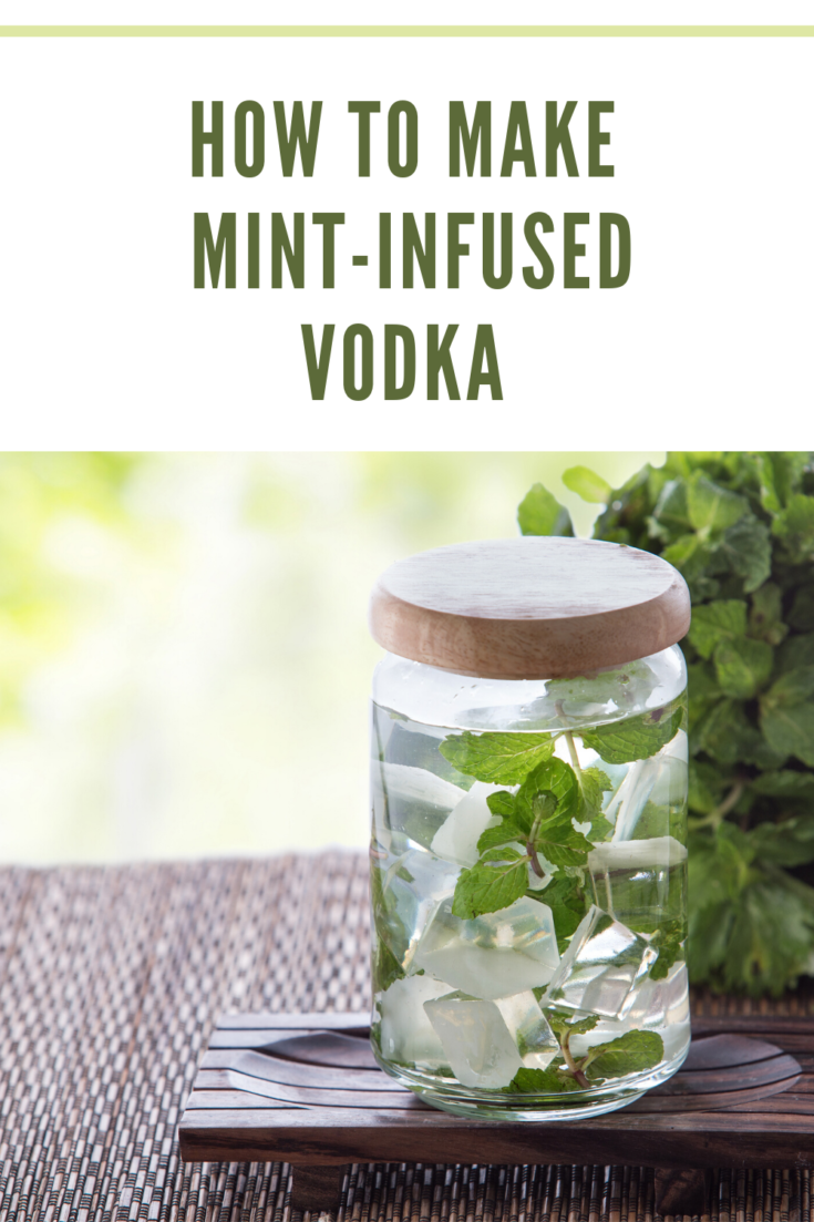mint infused vodka with mint plant behind