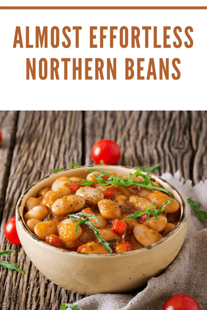 These Easy, Effortless Northern Beans are perfect for a cold day. It's an easy recipe and every bowl it makes is filled with flavor.
