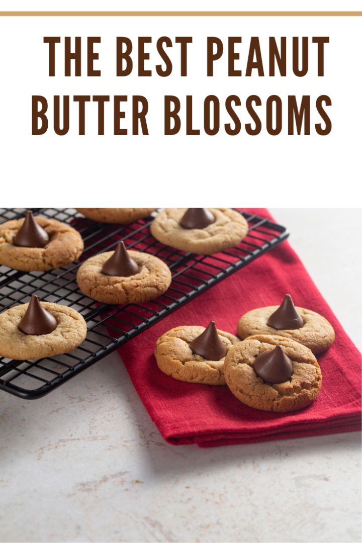 Peanut Butter Blossom Cookies Recipe • Mommy's Memorandum