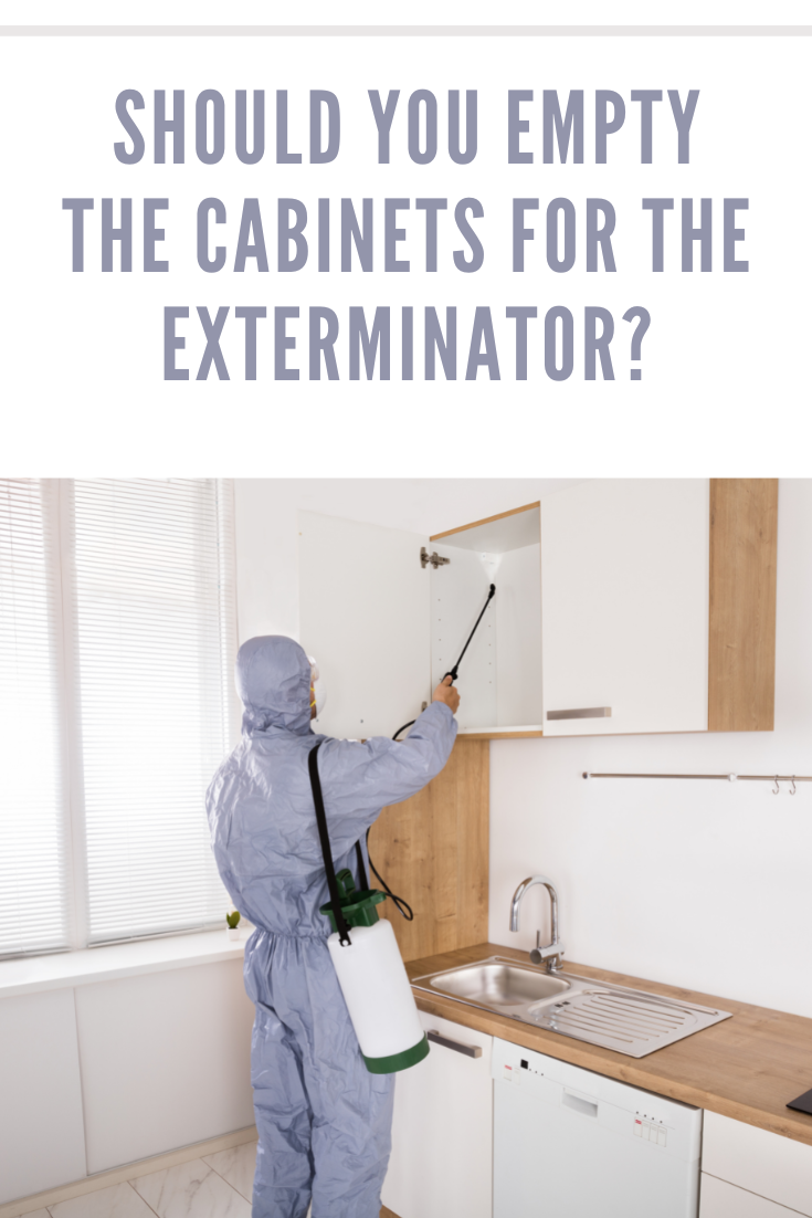 pesticide worker in kitchen cabinets
