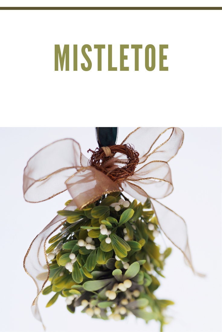 mistletoe