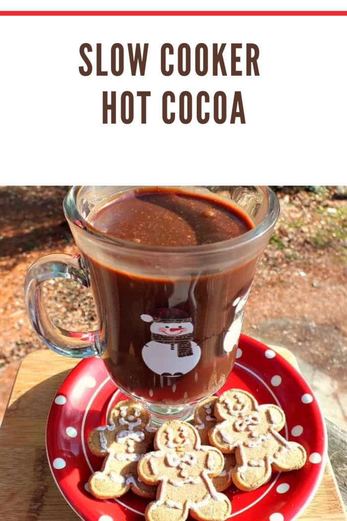 slow cooker hot cocoa