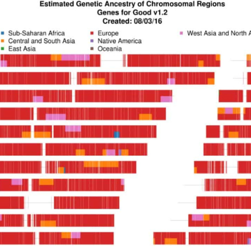 genes for good chromosomes