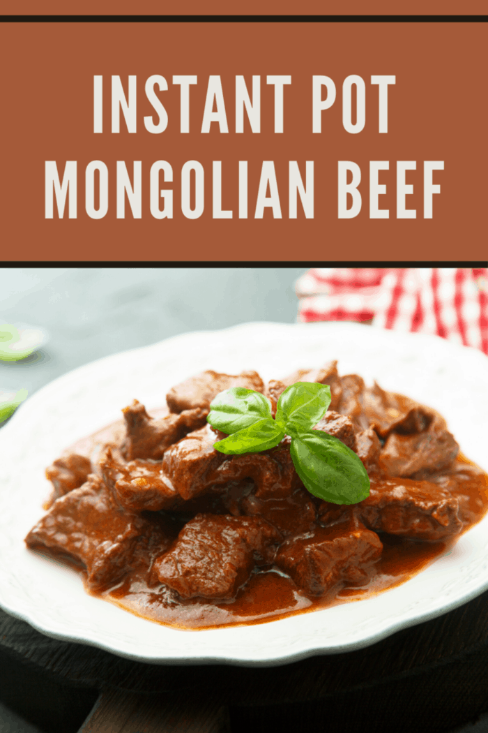 Instant Pot Mongolian Beef in bowl with sauce