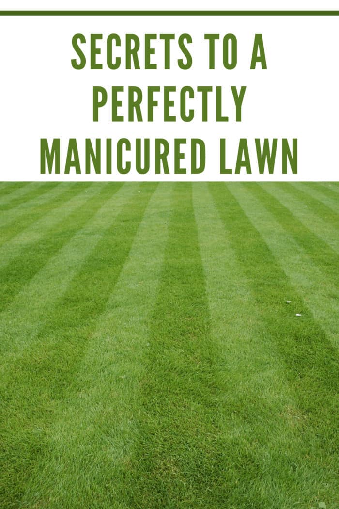 mower lines in grass on perfectly manicured lawn