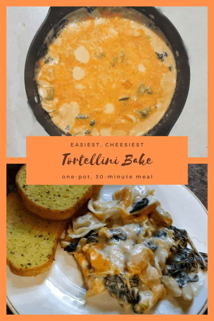 For any cheese lover out there, this is the Easiest, Cheesiest Tortellini Bake Recipe to feed the craving. It's an easy, one-pot meal that's ready in just 30-minutes. No stress, no dishes, just dinner on the table.