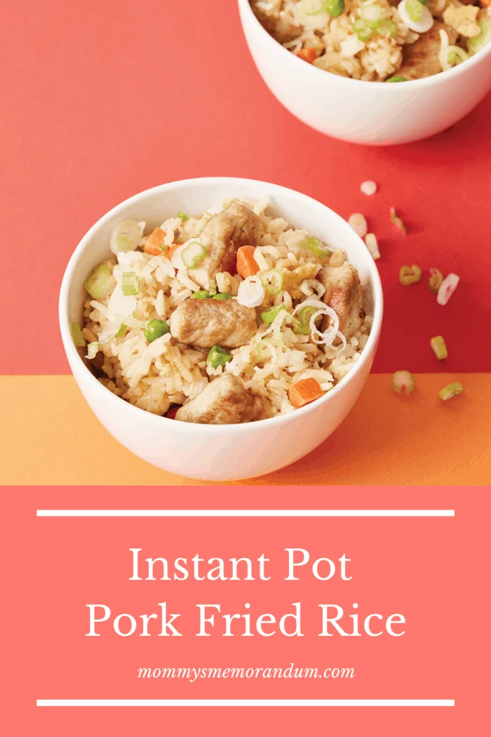 This Instant Pot Pork Fried Rice recipe is incredibly easy, budget friendly and satisfies the cravings.