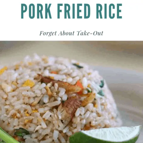 This Instant Pot Pork Fried Rice recipe is incredibly easy and satisfies the cravings. It’s also extremely budget friendly so even if you have take-out, save some money and make this Pork Fried Rice while you’re waiting for delivery!