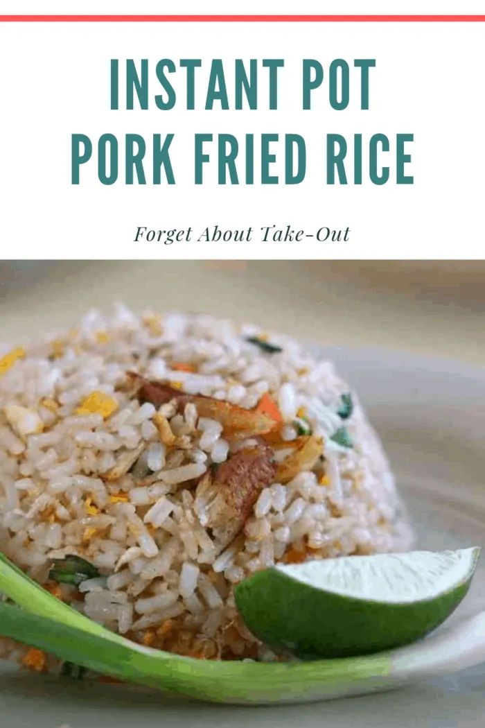 This Instant Pot Pork Fried Rice recipe is incredibly easy and satisfies the cravings. It’s also extremely budget friendly so even if you have take-out, save some money and make this Pork Fried Rice while you’re waiting for delivery!