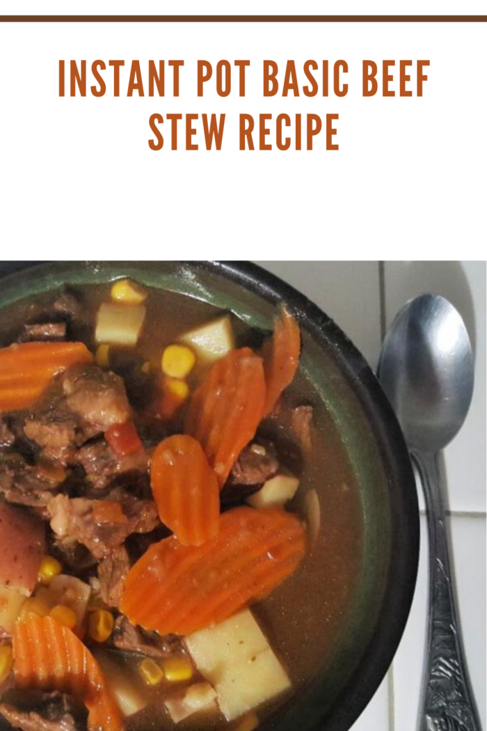 Instant Pot Basic Beef Stew