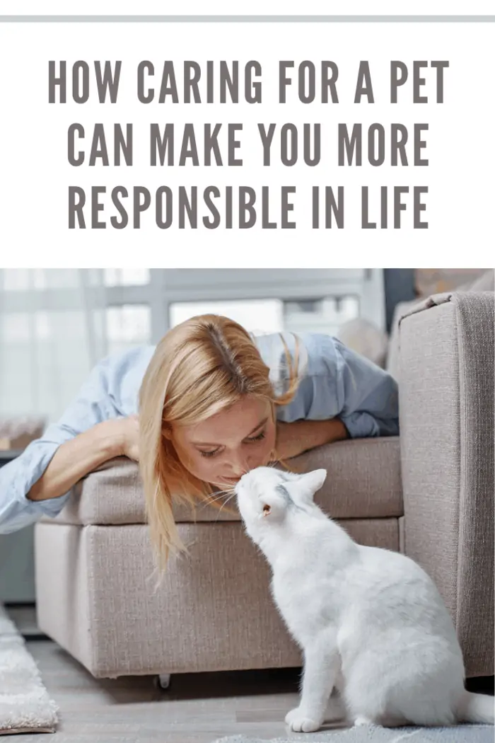 Quite girl lying on daybed and kissing domestic cat. Animal is sitting on floor