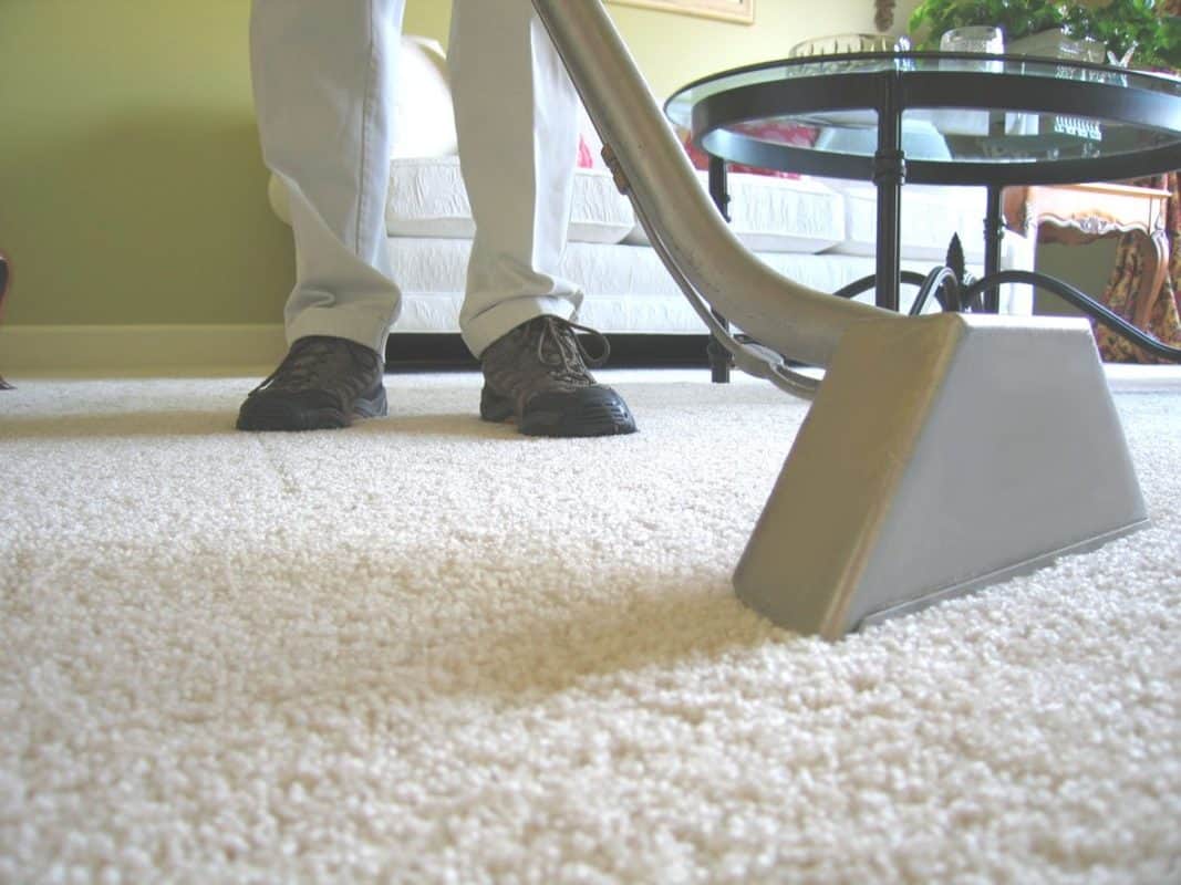 Carpet Cleaning Contractor