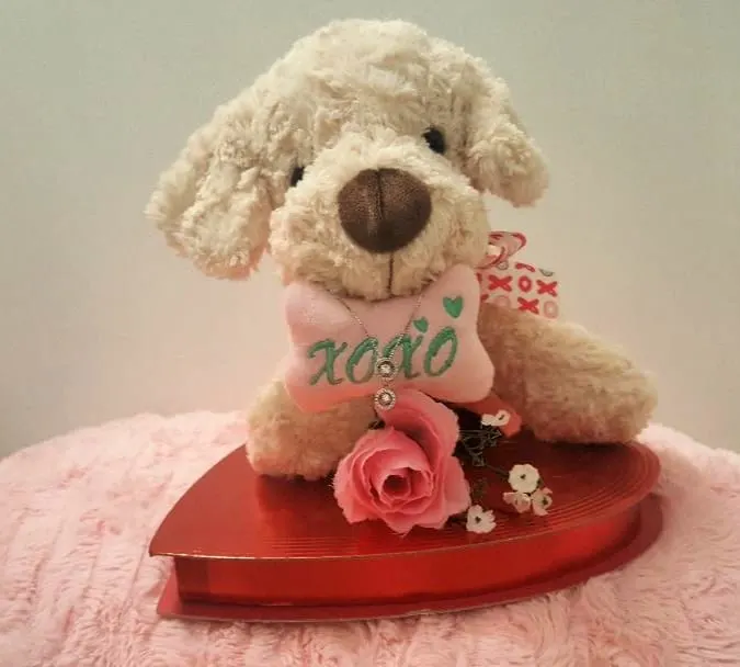 dancing diamonds on dog with pink rose and chocolates